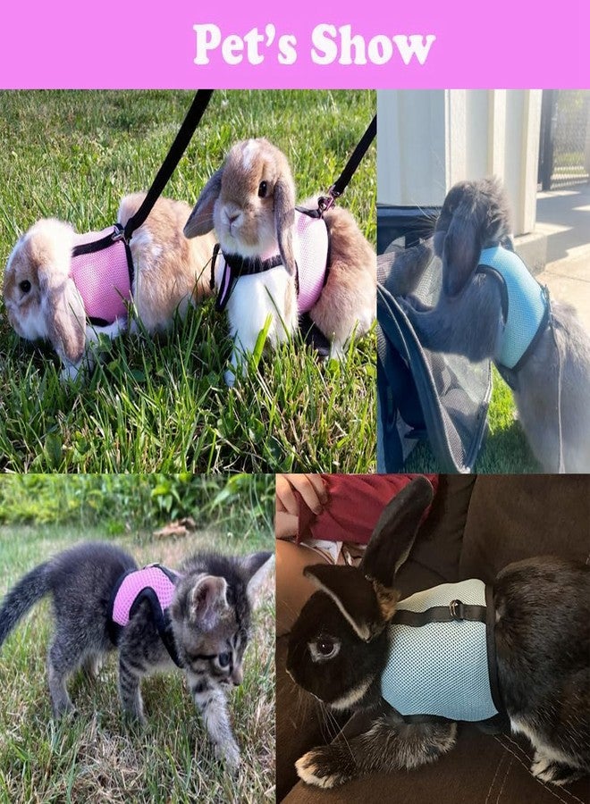 WeimoMonkey Rabbit Leash and Harness Set Escape Proof, Bunny Vest Hamster Leash Set Mesh Eescape Proof Walking Training for Small Animal Pets Rat Squirrel Ferret Guinea Pig Bunny,Blue L - Image 2